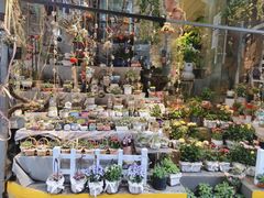 -循礼门鲜花花市(武汉循礼门店)