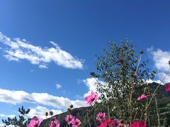 -叠溪松坪沟景区