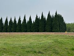 -秦始皇帝陵博物院-丽山园
