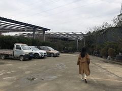 -金科花卉市场