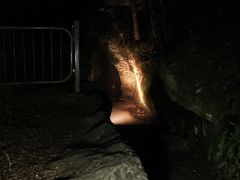 -怀托摩萤火虫洞