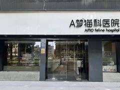 -御宝贝·A梦猫科宠物医院(国际猫友好医院)