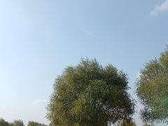 -水洞沟旅游区