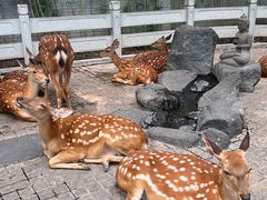 -北京野生动物园