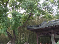 -紫竹院公园冰场