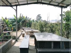 -新塘水果乐园(东洲大道店)