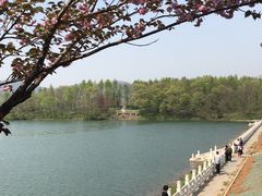 -佛手湖郊野公园