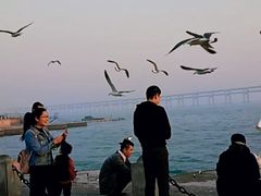 -星海湾跨海大桥