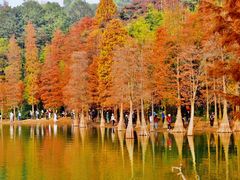 -广州市白云山风景名胜区