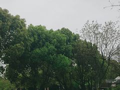 -无锡动物园·太湖欢乐园