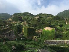 -枸杞岛