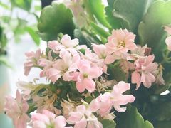 -帝京日语(春熙路旗舰校区)
