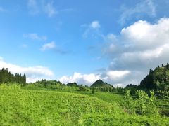 -山王坪喀斯特国家生态公园