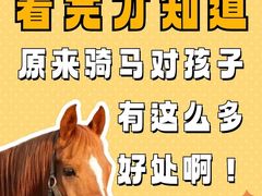-多维国际马术俱乐部(118广场店)