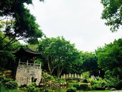 -深圳国际园林花卉博览园