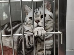 -宠颐生嘉德动物医院