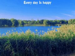 -上海滨江森林公园
