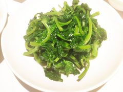 高山豆苗-南麓·浙里(外滩店)