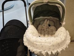 -PET WISH宠物愿望(BFC外滩金融中心店)