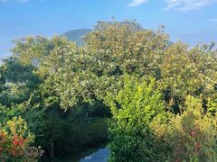 -梧桐山风景名胜区