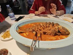-阿五黄河大鲤鱼(纬三路店)