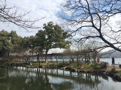 -西湖外事游船(花港观鱼码头)