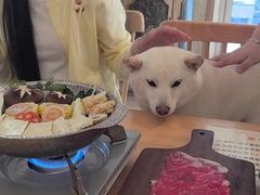 -柴の食堂·日式家庭料理·熊之肆(大学路店)