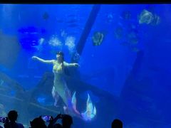 -江和美海洋公园