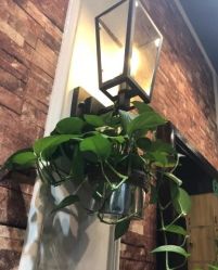 -星耀美业·品质网购