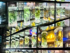 -广东中医药博物馆