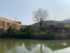 -咸宁万豪温泉谷度假区