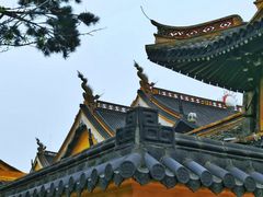 -江心屿景区