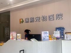 -瑞鹏宠物医院·骨科·猫科·内科(第一中心)