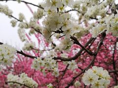 -长春市南湖公园