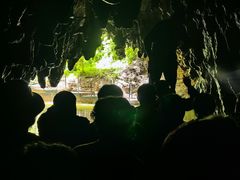 -怀托摩萤火虫洞