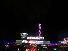 -枫花园汽车电影院(朝阳公园店)