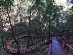 -大岭沟猕猴桃谷风景区