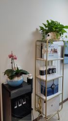 -演员的秘密·皮肤管理