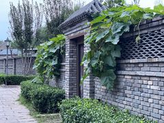 -春风习习