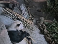 -北京动物园