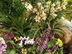 -国家植物园南园