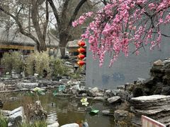 -白家大院·王府宫廷菜(苏州街店)