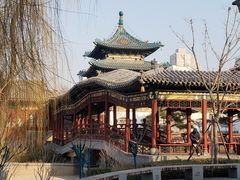 -迎泽公园