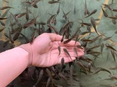 -汤乐汇•足道•SPA生活馆