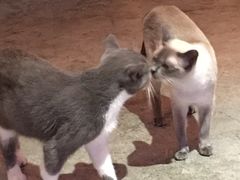 -MIKAKU(万达广场上海宝山店)