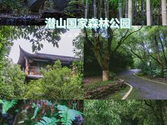 -潜山国家森林公园