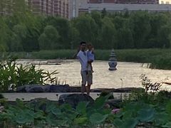 -武汉园博园(武汉自然博物馆)