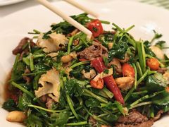 -桂满陇·锦绣江南(益田广场店)