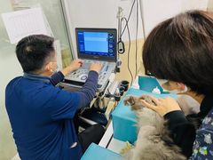 -爱侣宠医·鹦鹉专科·小型哺乳类·异宠专科(灵石路店)