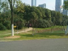 -艾溪湖湿地公园